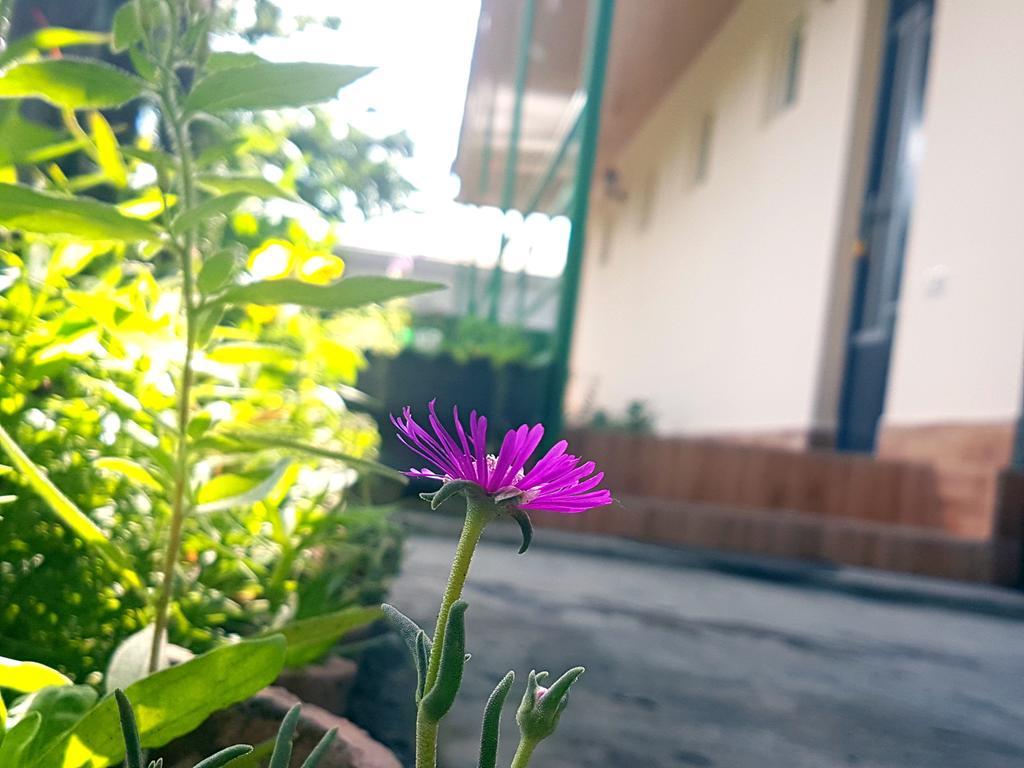 Guest House Villa Kvareli Luaran gambar