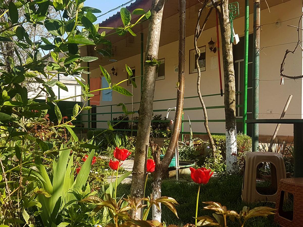 Guest House Villa Kvareli Luaran gambar