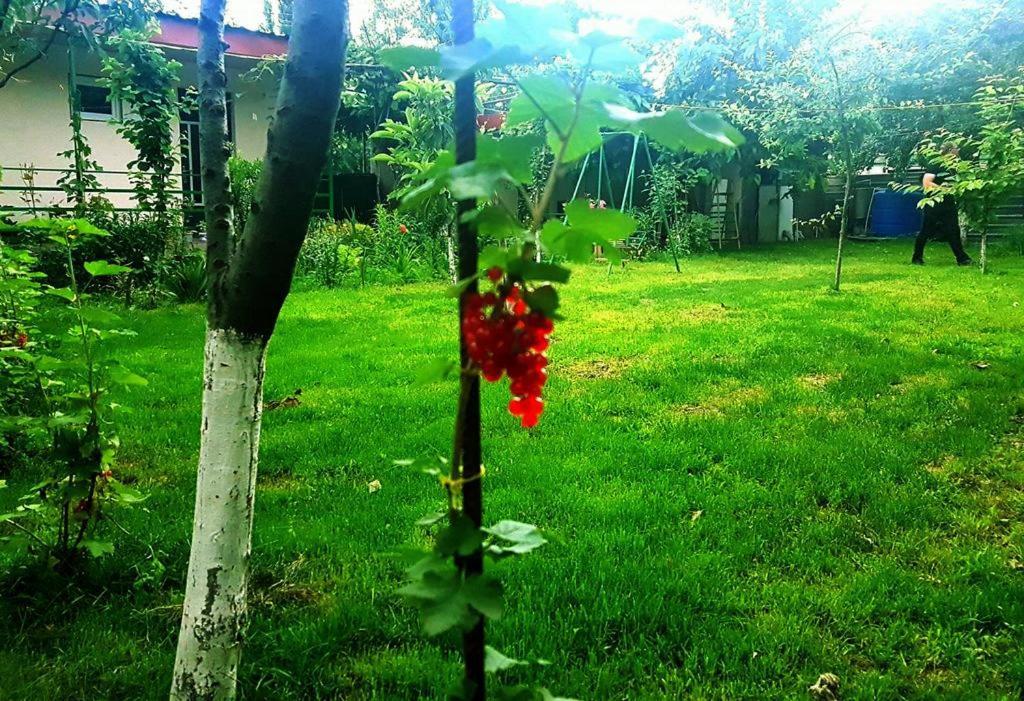 Guest House Villa Kvareli Luaran gambar